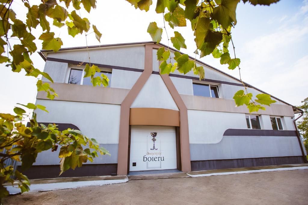 Casa Domeniile Vinului 3* איוד